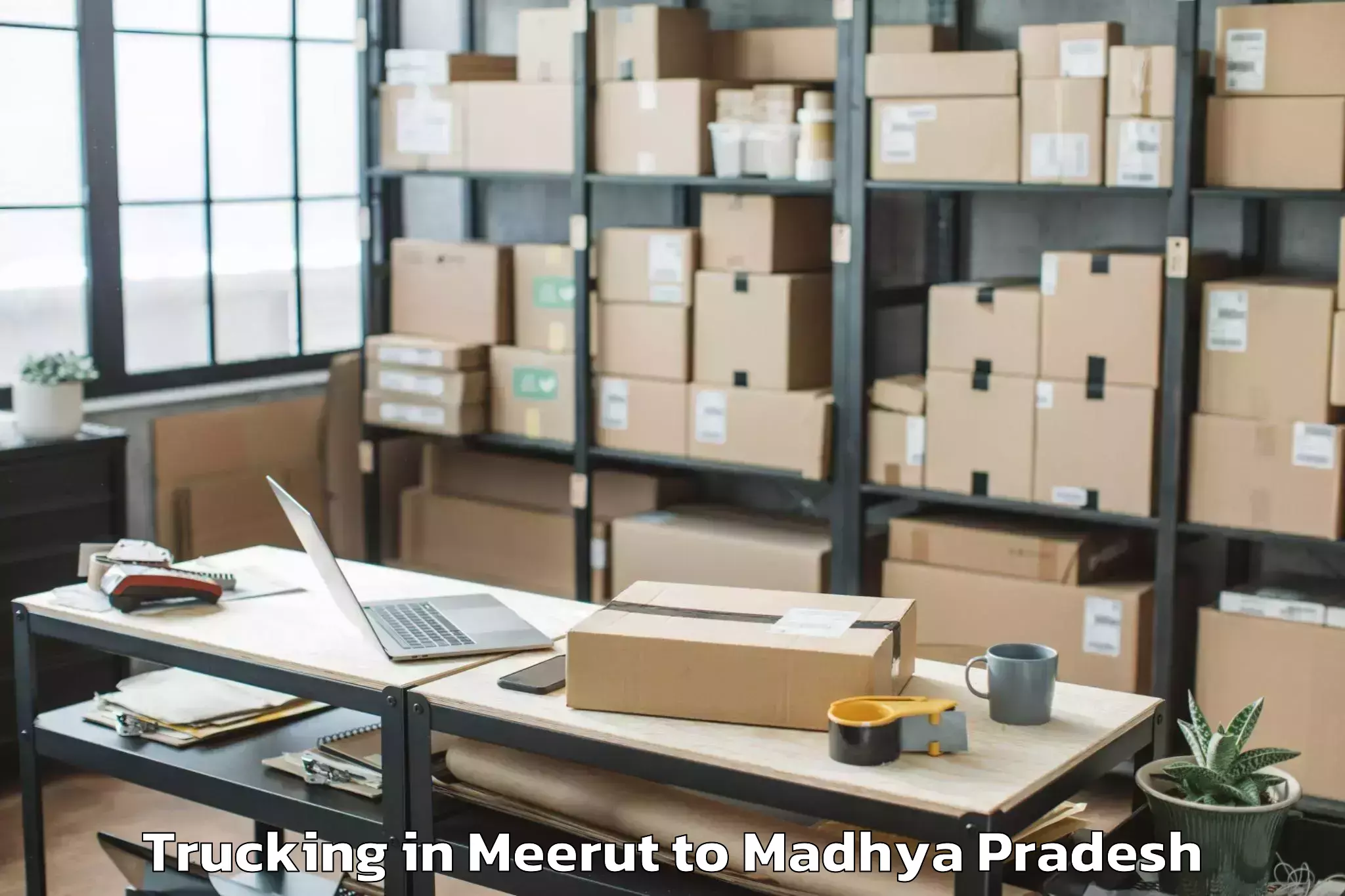 Professional Meerut to Madwas Trucking